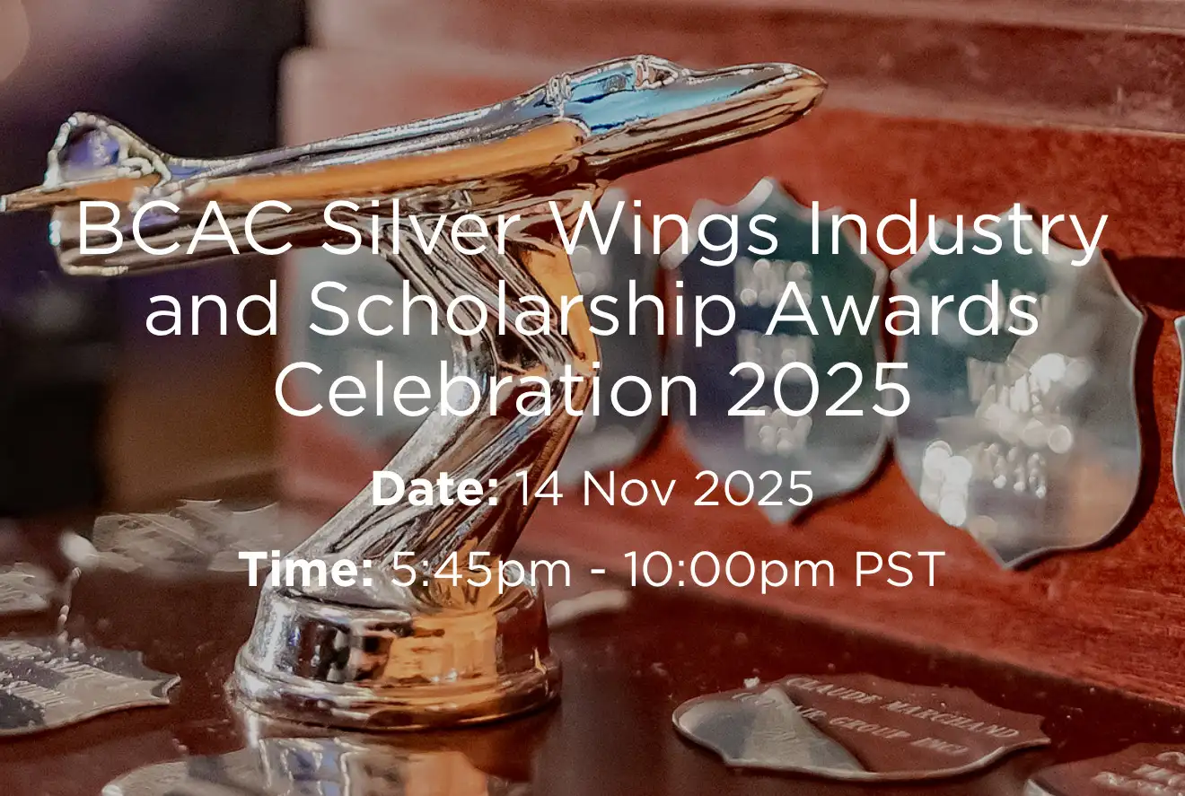 silver wings